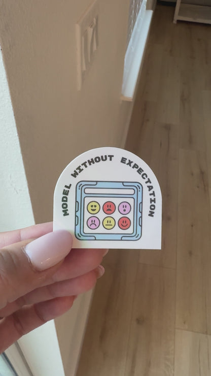 Model Without Expectation Holographic Sticker